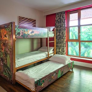 Safari King Family Room